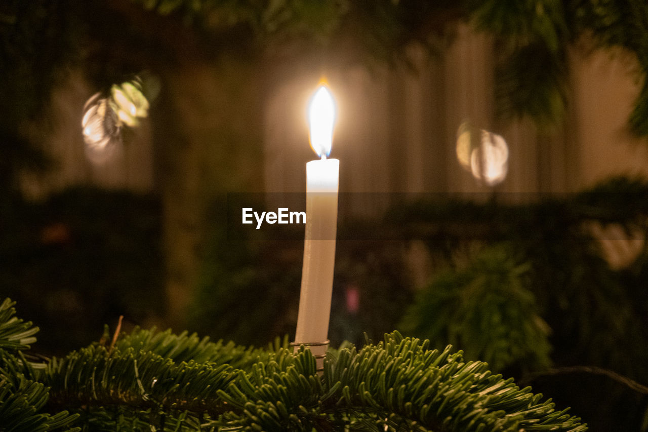 Close-up of illuminated christmas tree with a single candle