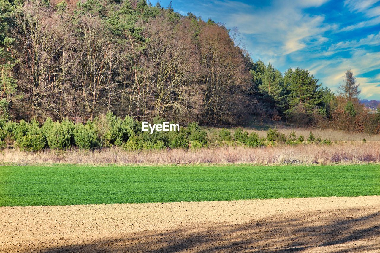 Scenic view of land against sky