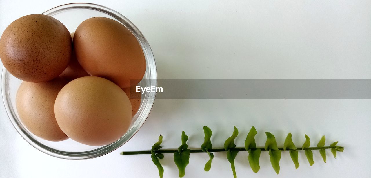 HIGH ANGLE VIEW OF EGGS IN CONTAINER