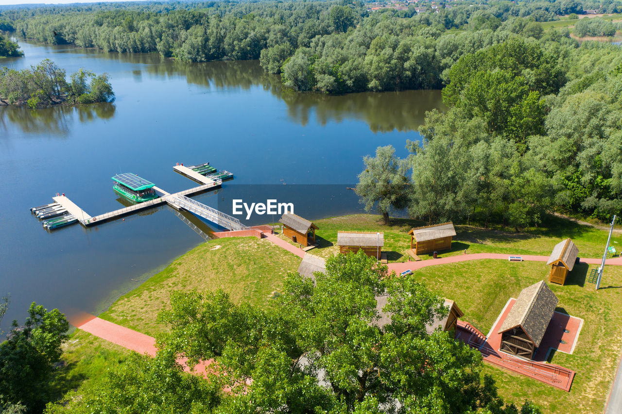 HIGH ANGLE VIEW OF TREES AND PLANTS IN LAKE