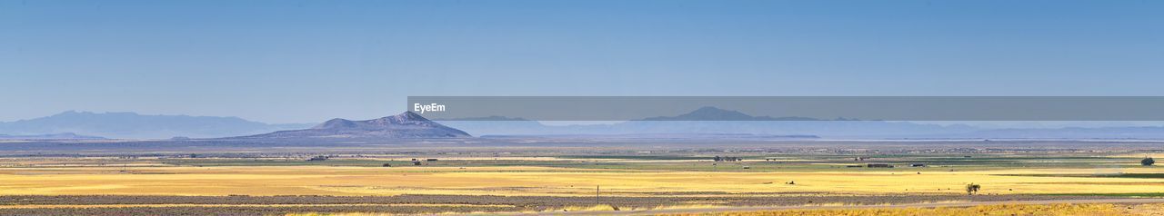 Scenic view of field against clear sky