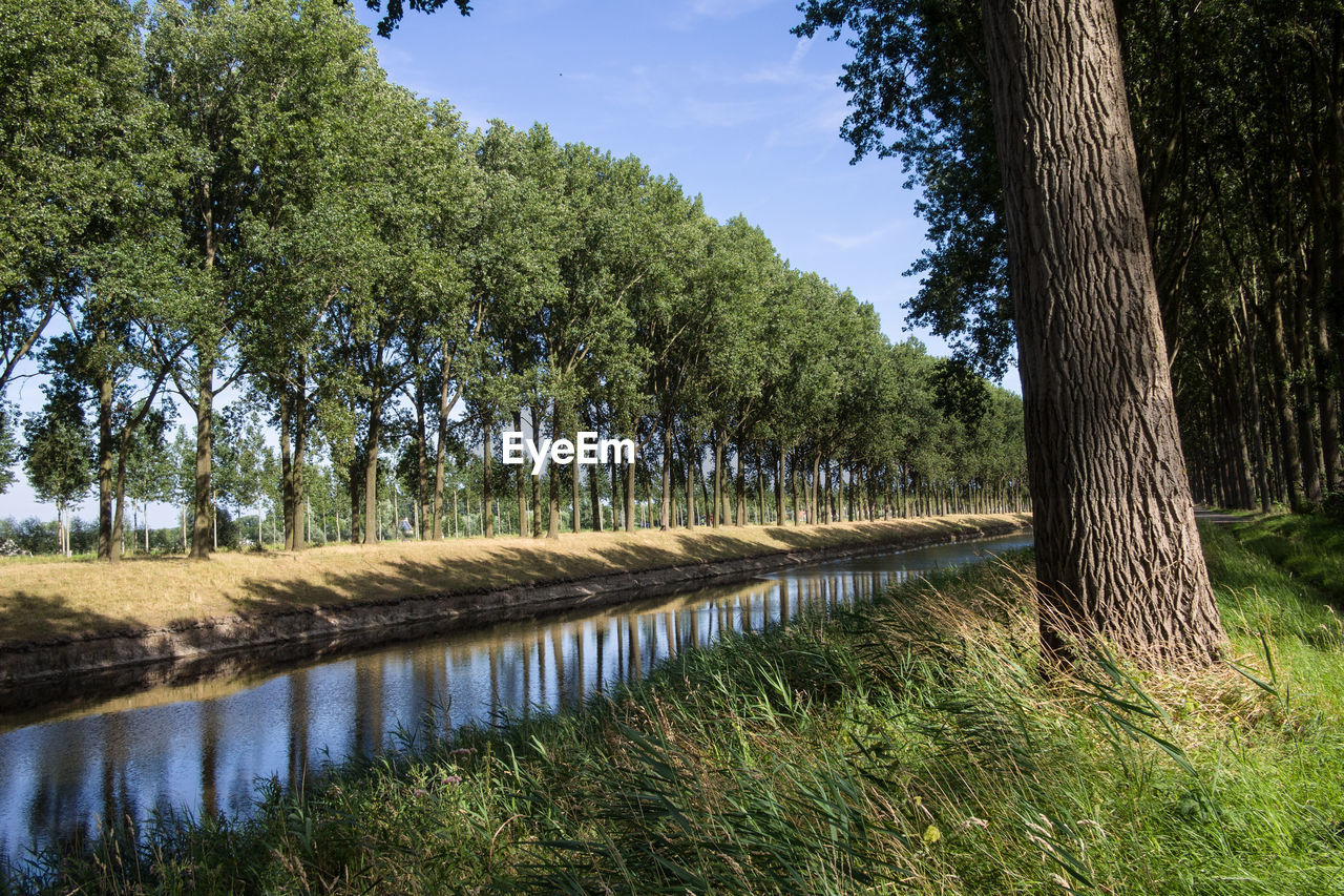 SCENIC VIEW OF LAKE AND TREES AGAINST SKY