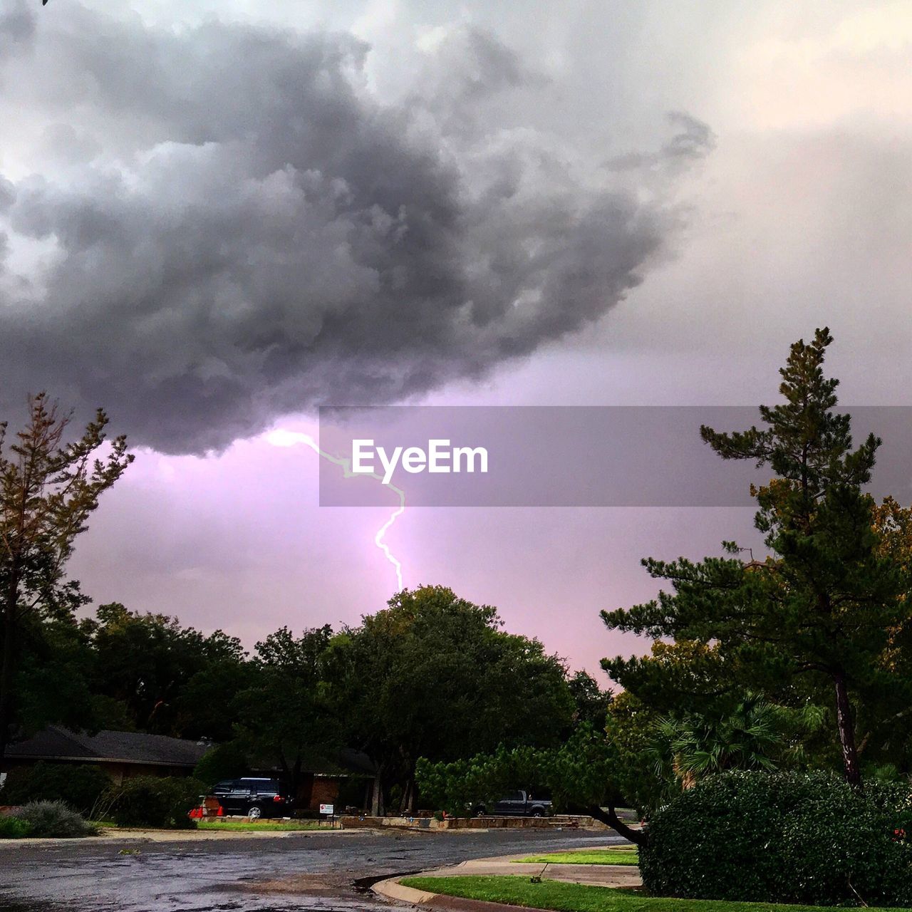 STORM CLOUDS OVER TREES