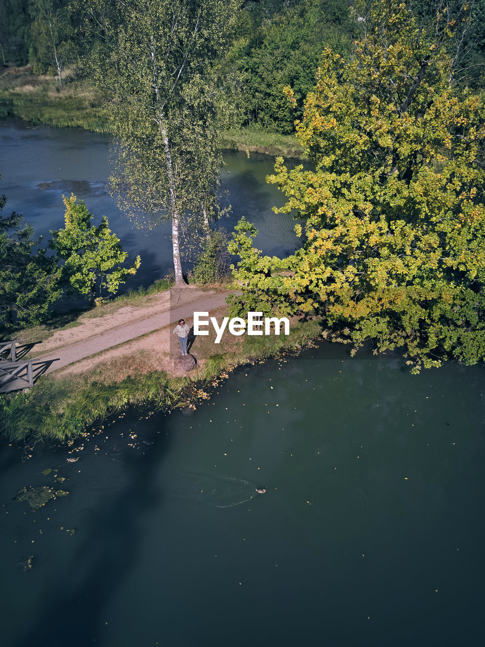 Drone shot of woman standing by pond