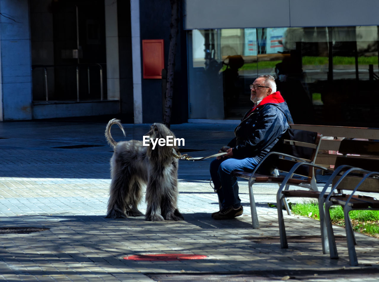 WOMAN WITH DOG SITTING ON SEAT IN FRONT OF MAN