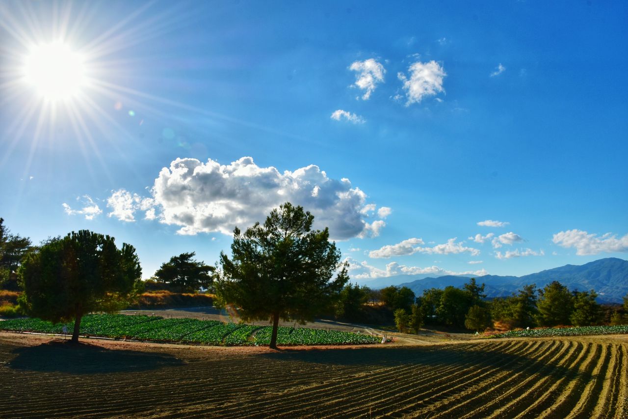 Scenic view of landscape against cloudy sky