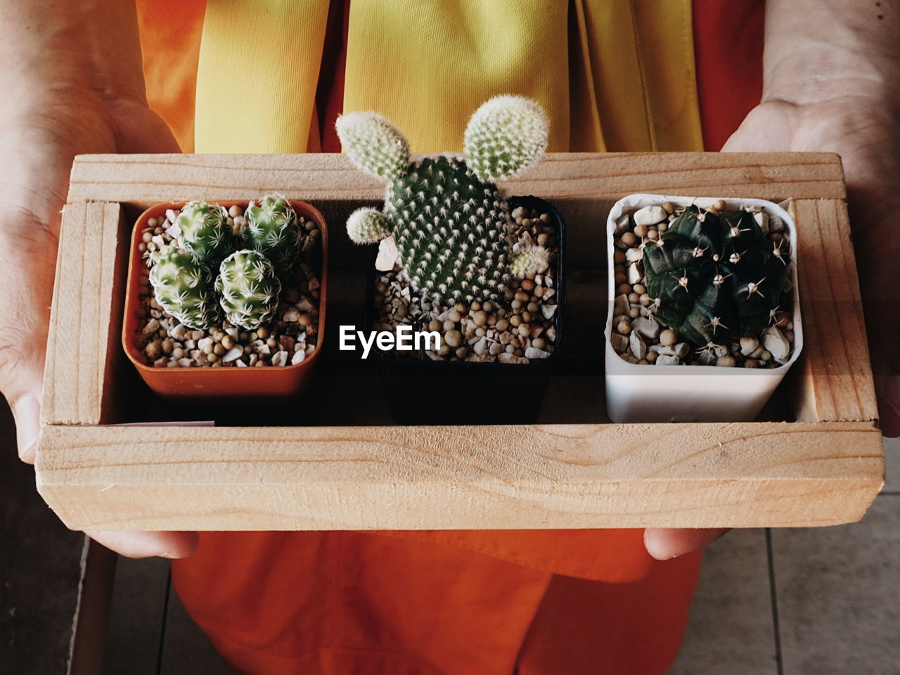 Midsection of monk holding potted plants in wooden container