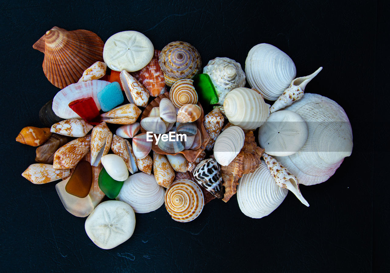 shell, black background, large group of objects, variation, high angle view, no people, animal shell, jewellery, seashell, wealth, studio shot, abundance, still life, conch, indoors, coin, directly above, finance