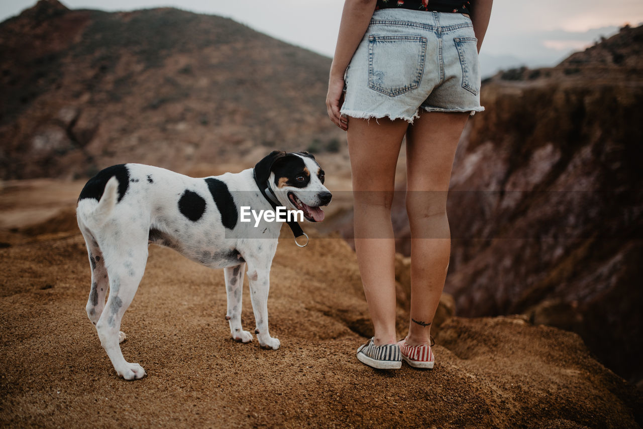 Cropped unrecognizable woman in casual clothes walking along rocky mountain with obedient dappled dog