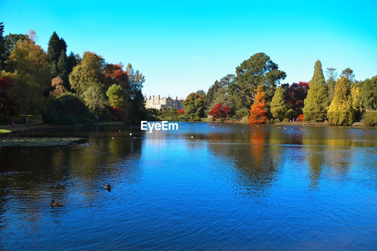 SCENIC VIEW OF RIVER IN FRONT OF TREES AGAINST CLEAR SKY