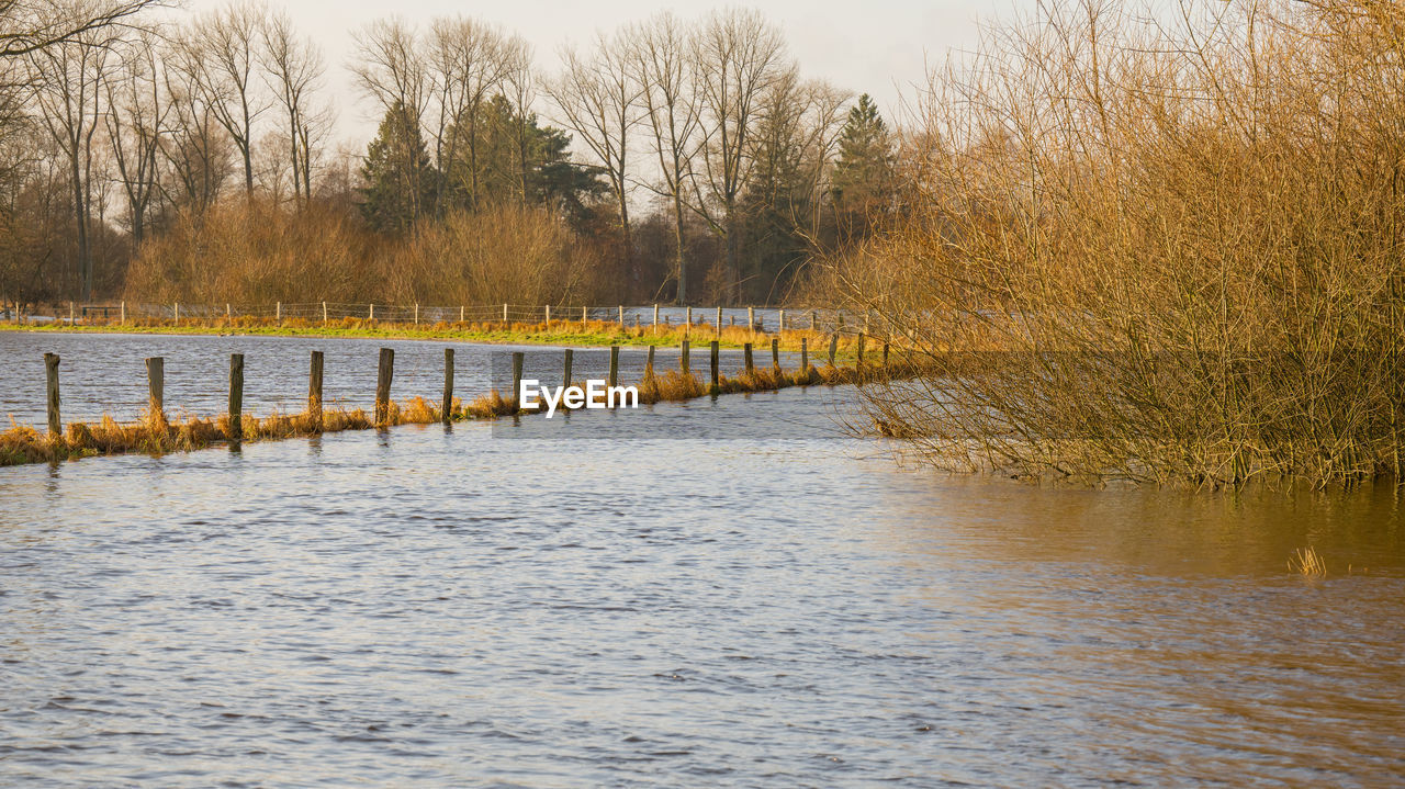 river, water, tree, reflection, plant, nature, winter, no people, beauty in nature, tranquility, scenics - nature, autumn, tranquil scene, waterway, morning, environment, bare tree, sky, day, non-urban scene, outdoors, fence, landscape, snow, land, wood, wetland