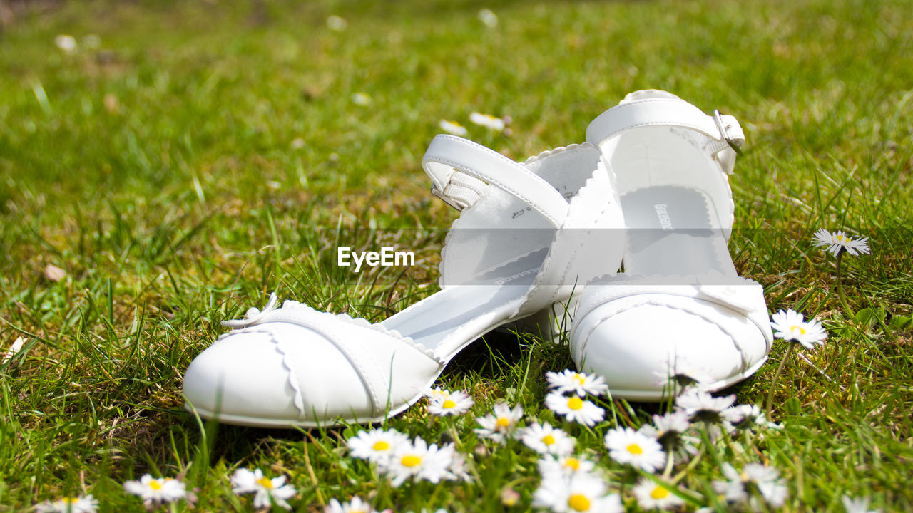 Close-up of white sandals by daisy flowers on grass