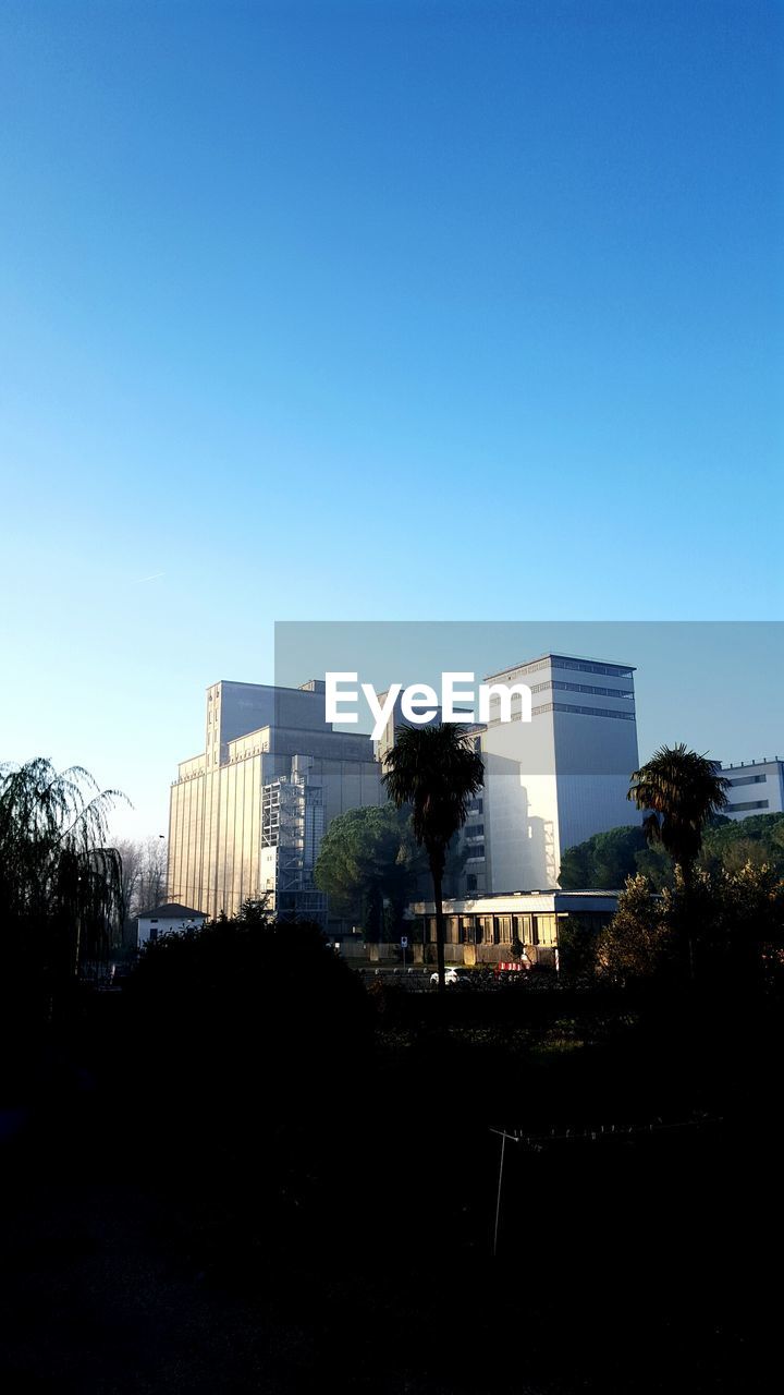 Trees growing on field by buildings against clear blue sky