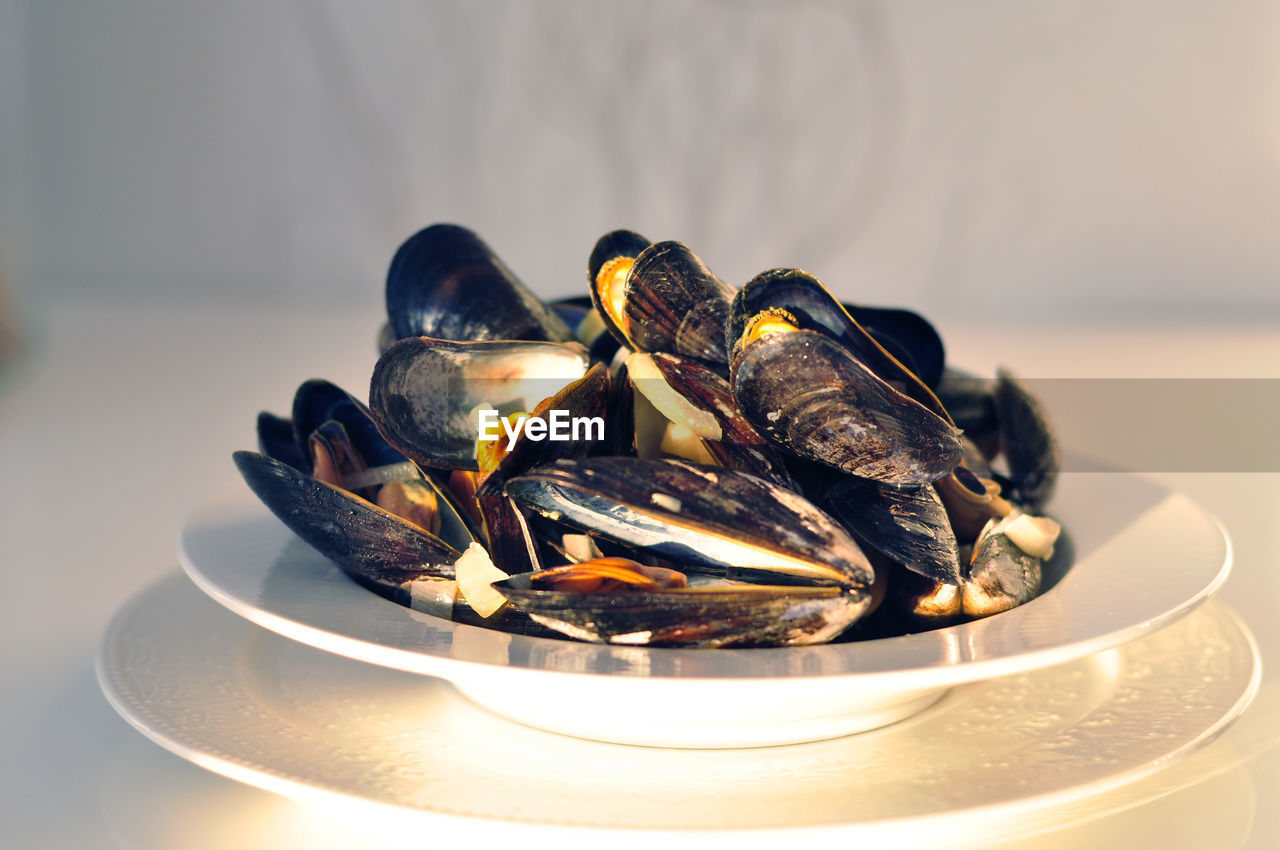 mussel, food, food and drink, plate, no people, freshness, healthy eating, indoors, table, close-up, seafood, wellbeing, animal