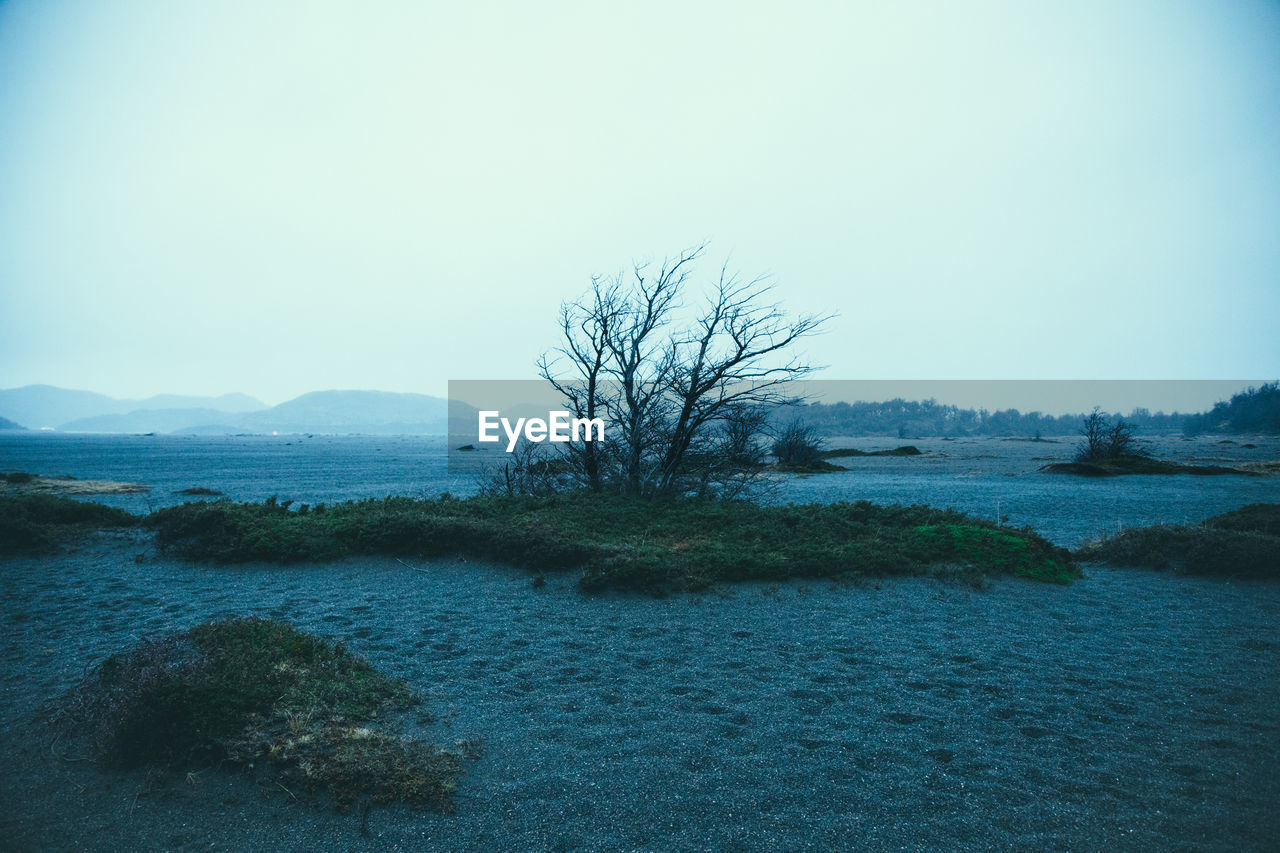 Scenic view of landscape against clear sky