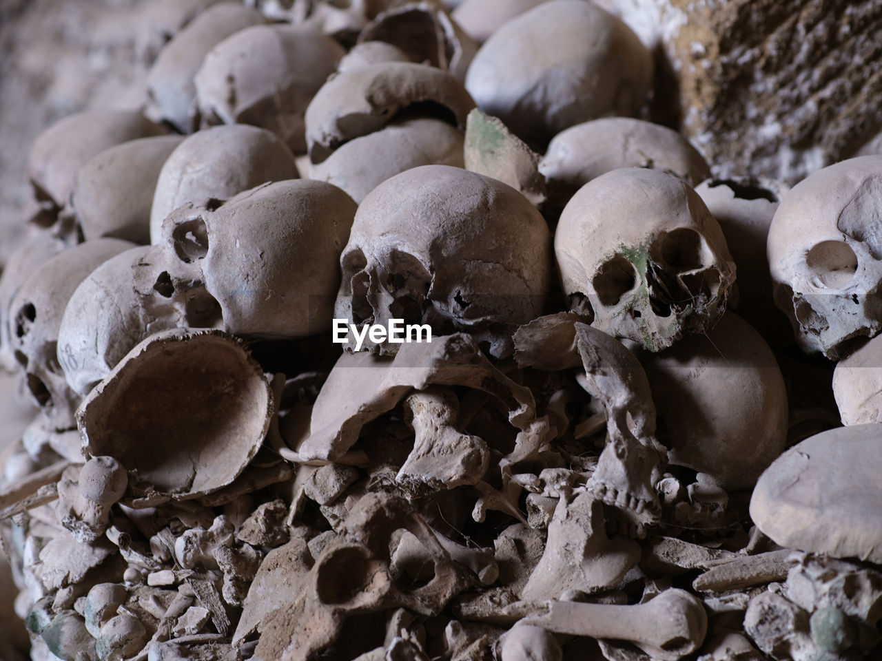 High angle view of human skulls