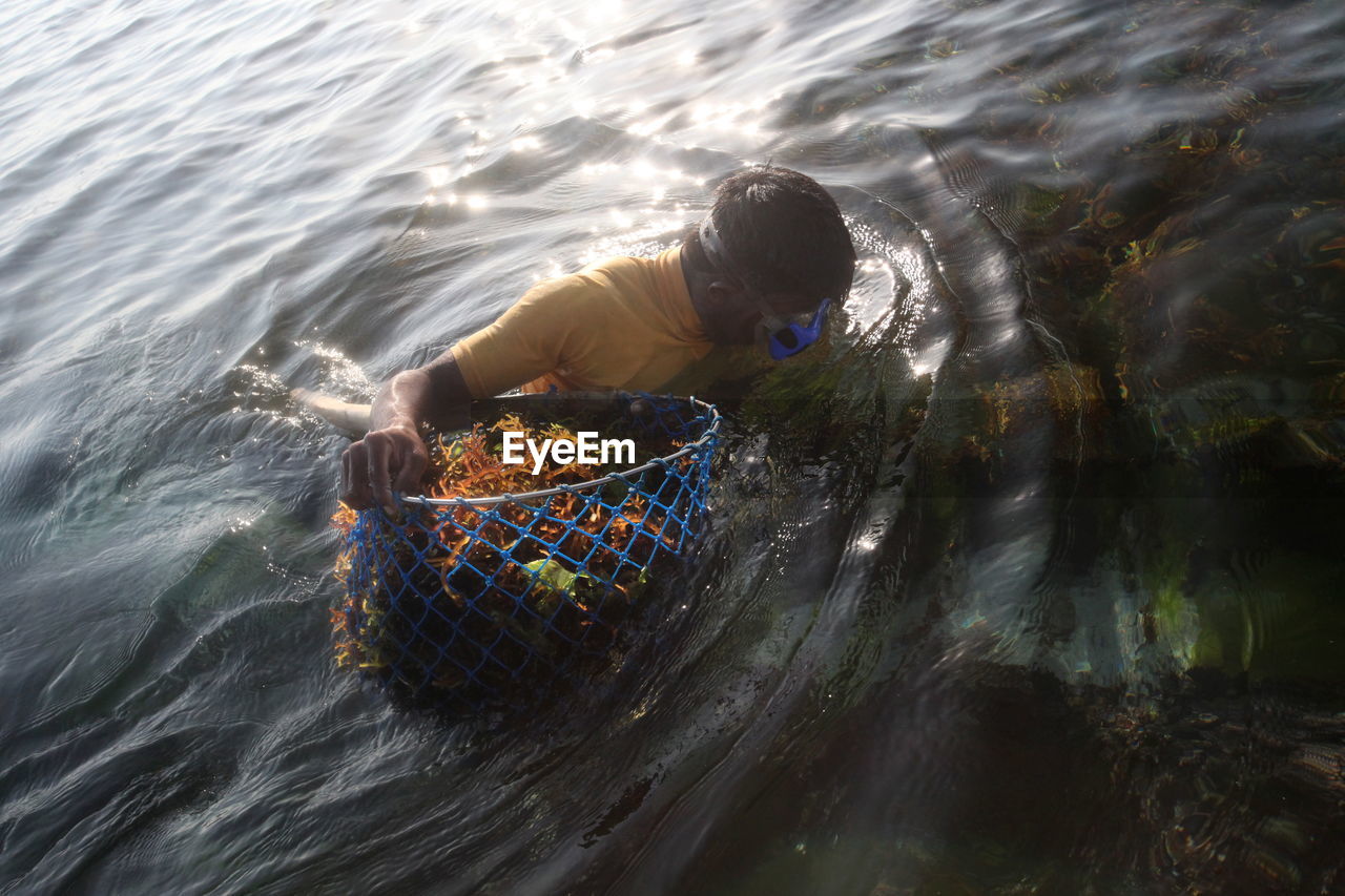 High angle view of man holding seaweed on sea