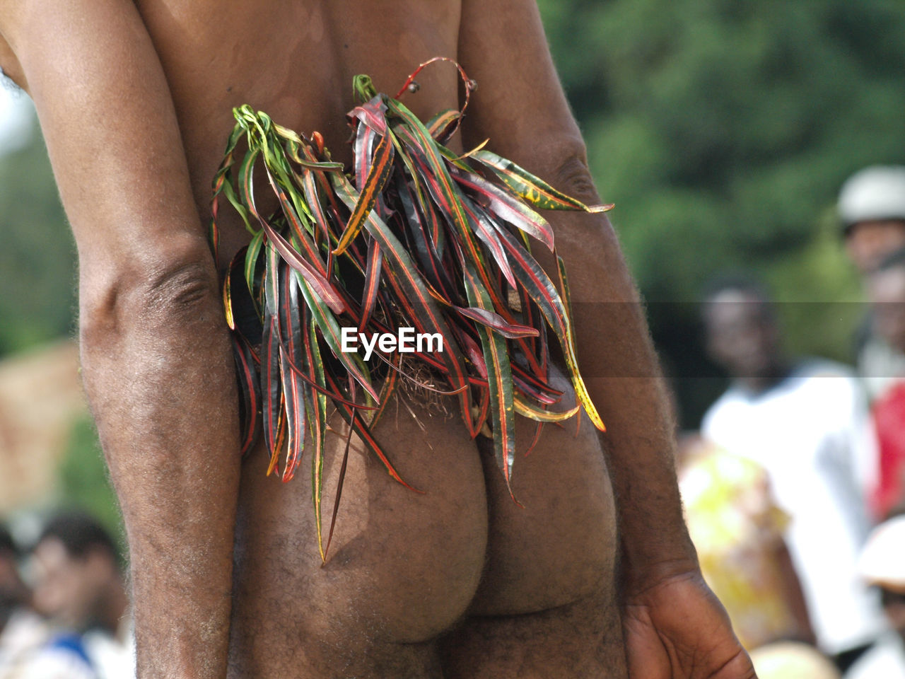 Rear view of naked man with leaves during ceremony