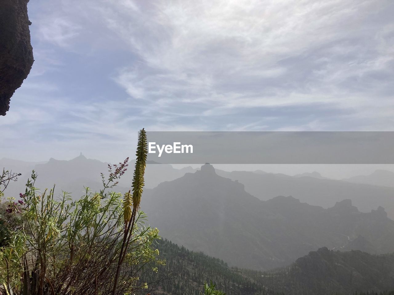 mountain, environment, landscape, scenics - nature, sky, nature, cloud, land, beauty in nature, mountain range, travel, fog, plant, travel destinations, tree, forest, ridge, tranquility, tourism, wilderness, outdoors, mountain peak, no people, valley, vacation, trip, tranquil scene, holiday, rock, activity, pinaceae, adventure, non-urban scene, day, leisure activity, pine tree, coniferous tree, sunlight