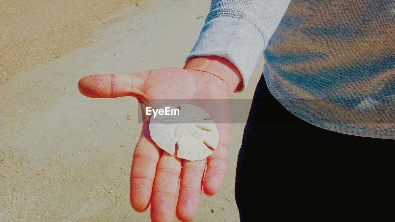 CLOSE-UP OF HUMAN HAND WITH SAND