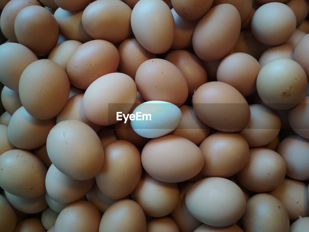 Full frame shot of eggs