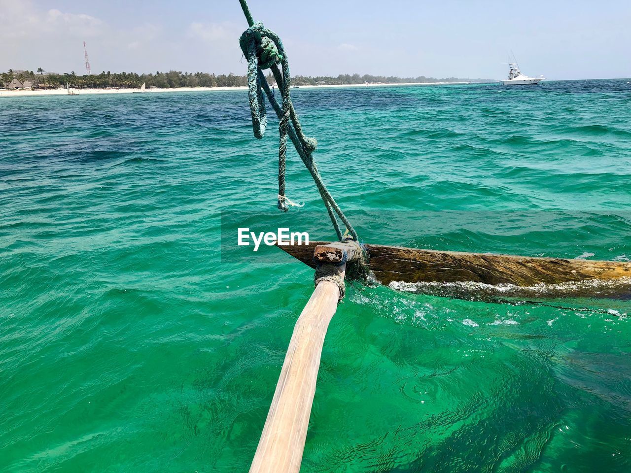 VIEW OF FISH IN SEA