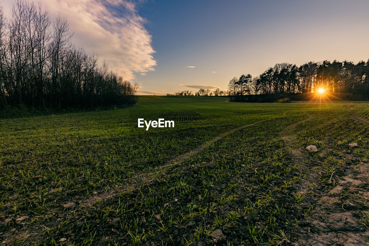 Scenic view of field against sky during sunset