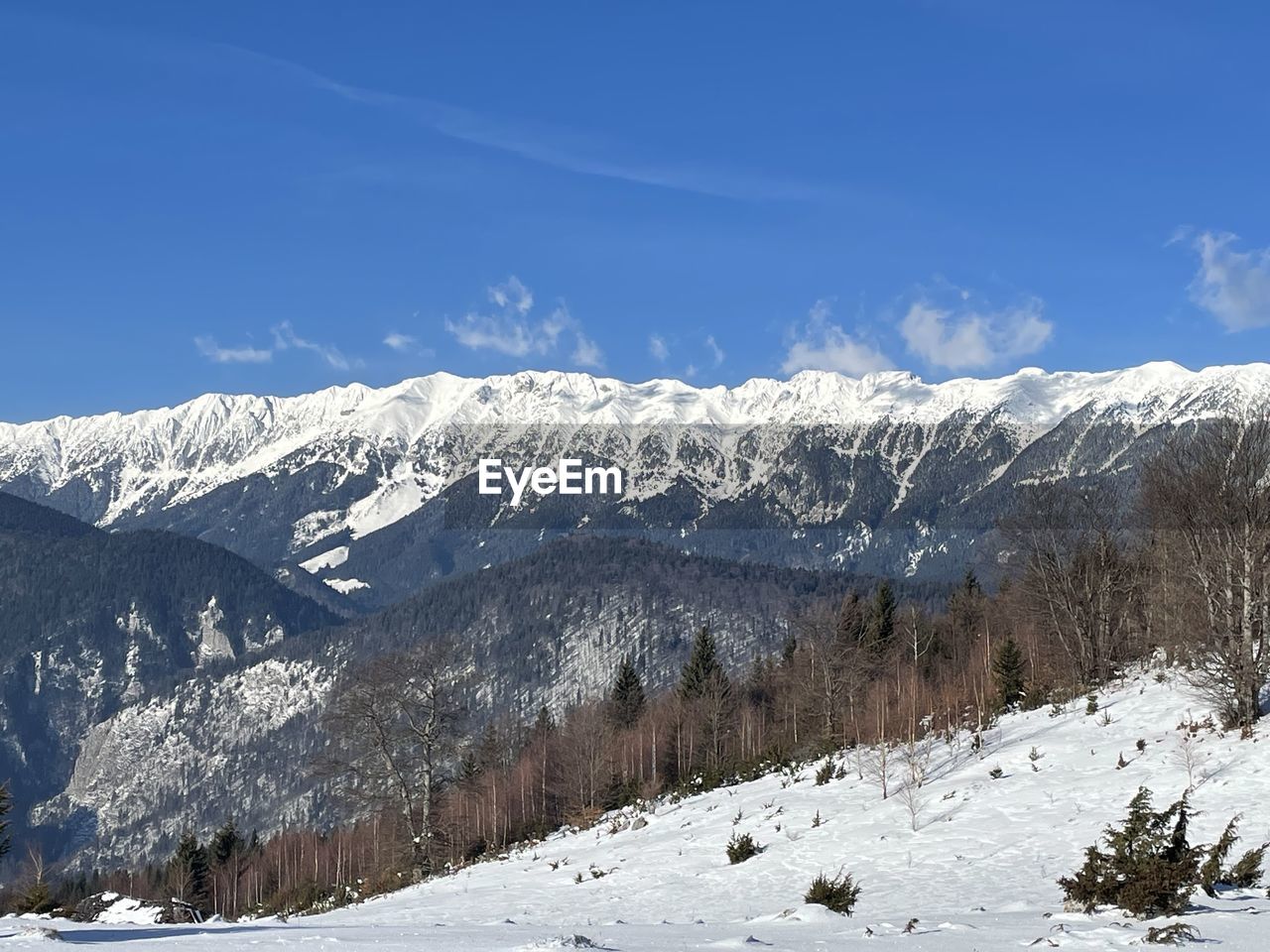 Piatra craiului national park