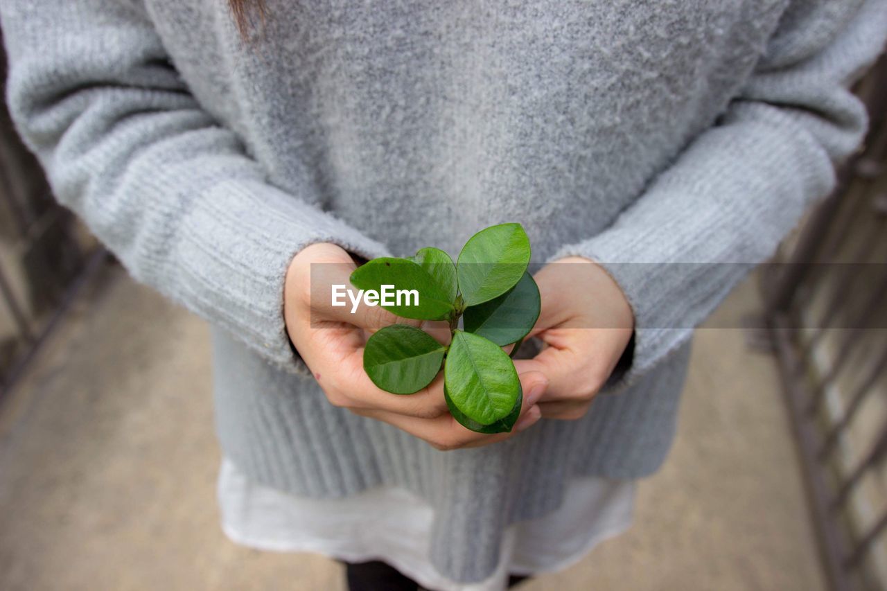 Midsection of woman wearing sweater holding plant