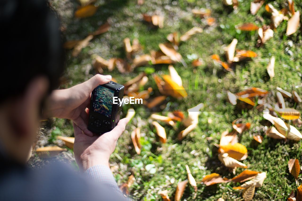 Cropped image of man photographing autumn leaves fallen on field with camera