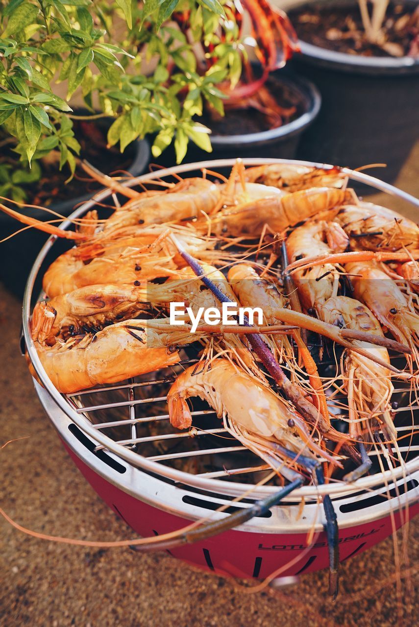 HIGH ANGLE VIEW OF FOOD ON PLATE