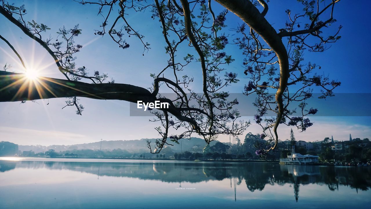 Reflection of trees in lake against sky