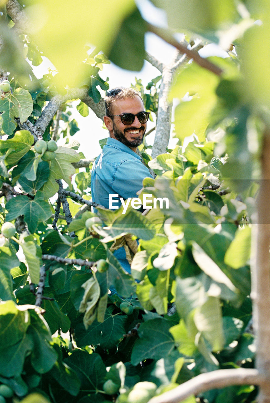 Portrait of mid adult man wearing sunglasses standing amidst plants at farm