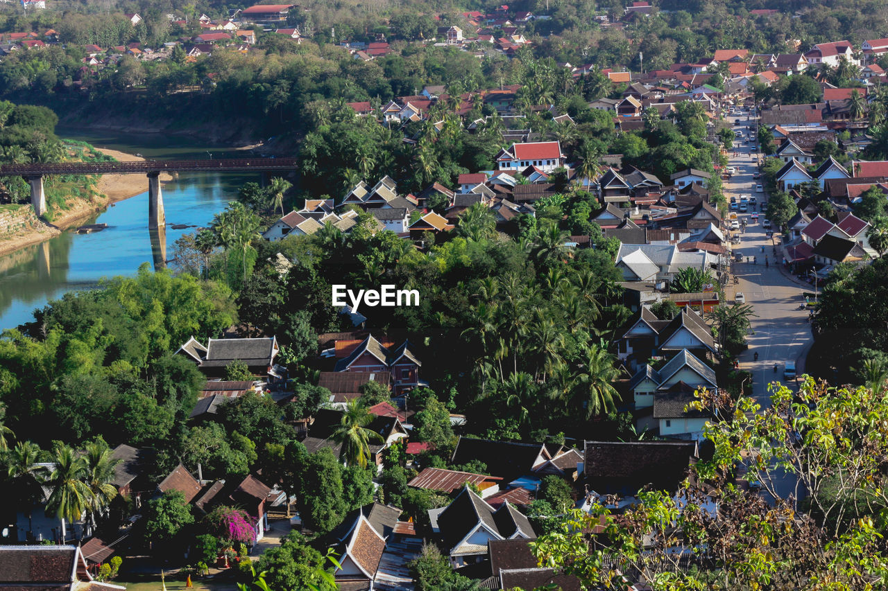 High angle view of houses and trees