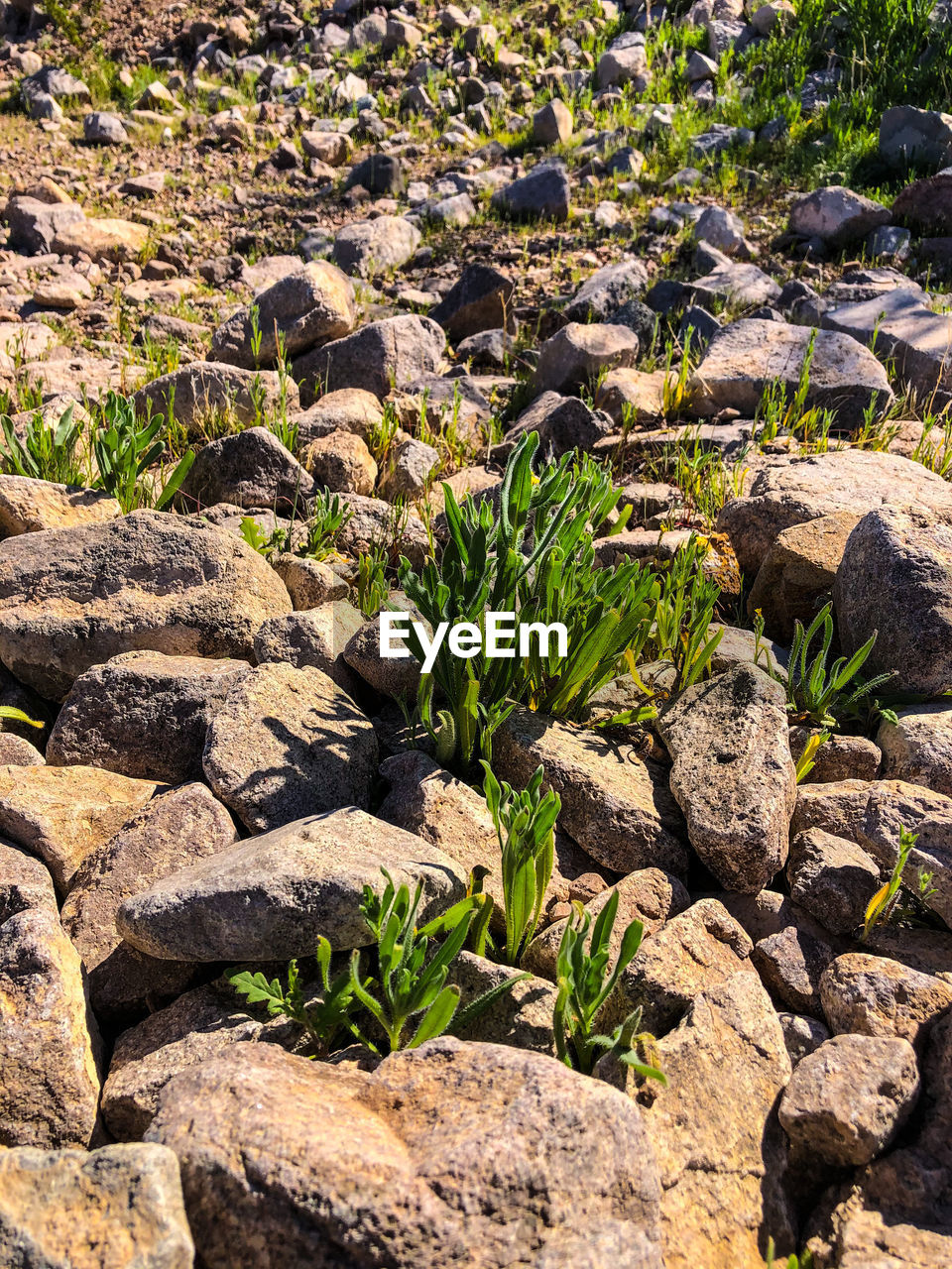 HIGH ANGLE VIEW OF STONES ON ROCKS