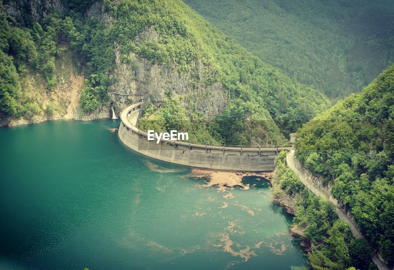 High angle view of river amidst trees in forest