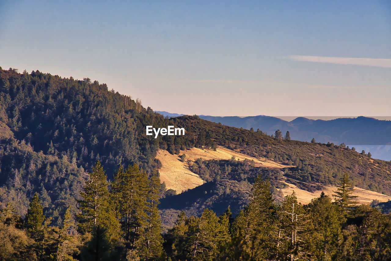 SCENIC VIEW OF MOUNTAIN AGAINST SKY