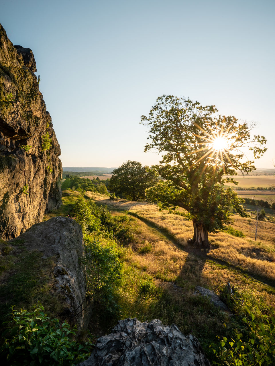 nature, sky, rock, plant, landscape, scenics - nature, environment, beauty in nature, tree, land, sunlight, clear sky, tranquility, no people, sunset, tranquil scene, wilderness, hill, travel destinations, non-urban scene, outdoors, travel, grass, leaf, sunny, blue, autumn, sun, reflection, tourism, water, idyllic, rural scene, summer, day, coast, rock formation