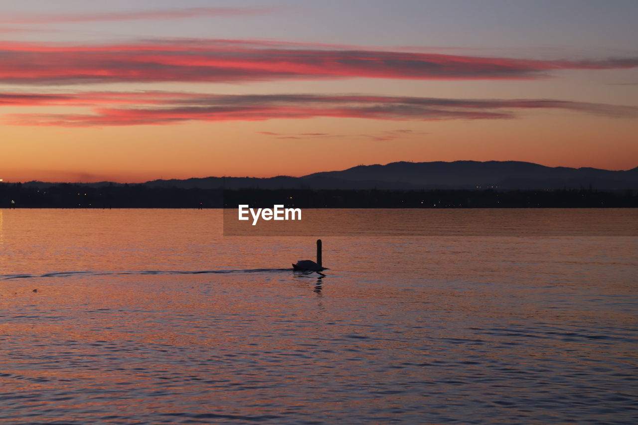 SILHOUETTE PERSON ON SEA AGAINST ORANGE SKY