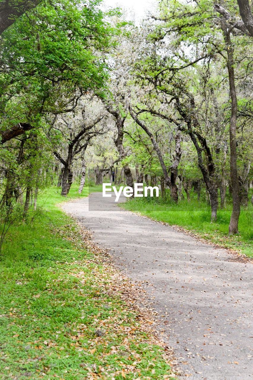 ROAD AMIDST TREES AND LANDSCAPE