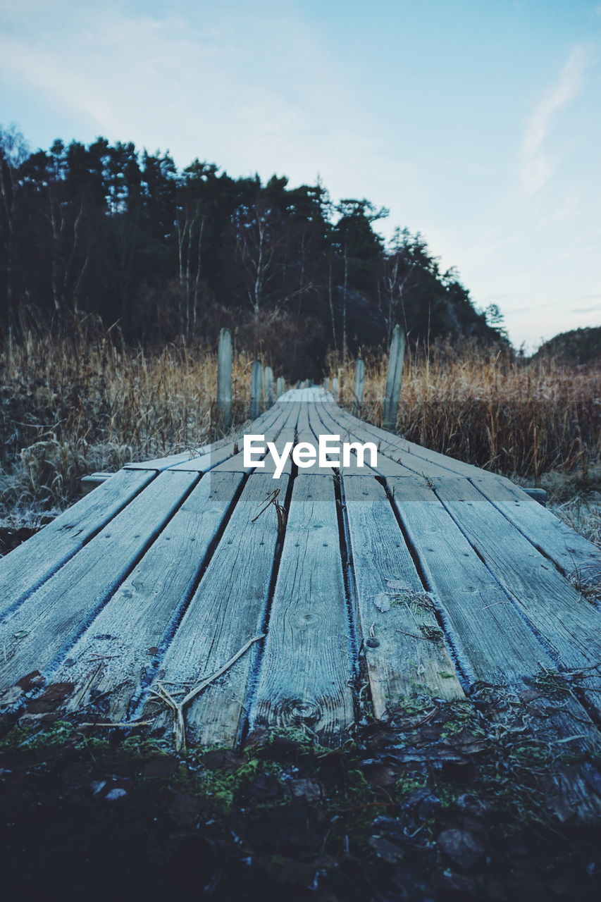 Diminishing perspective of boardwalk amidst field in forest