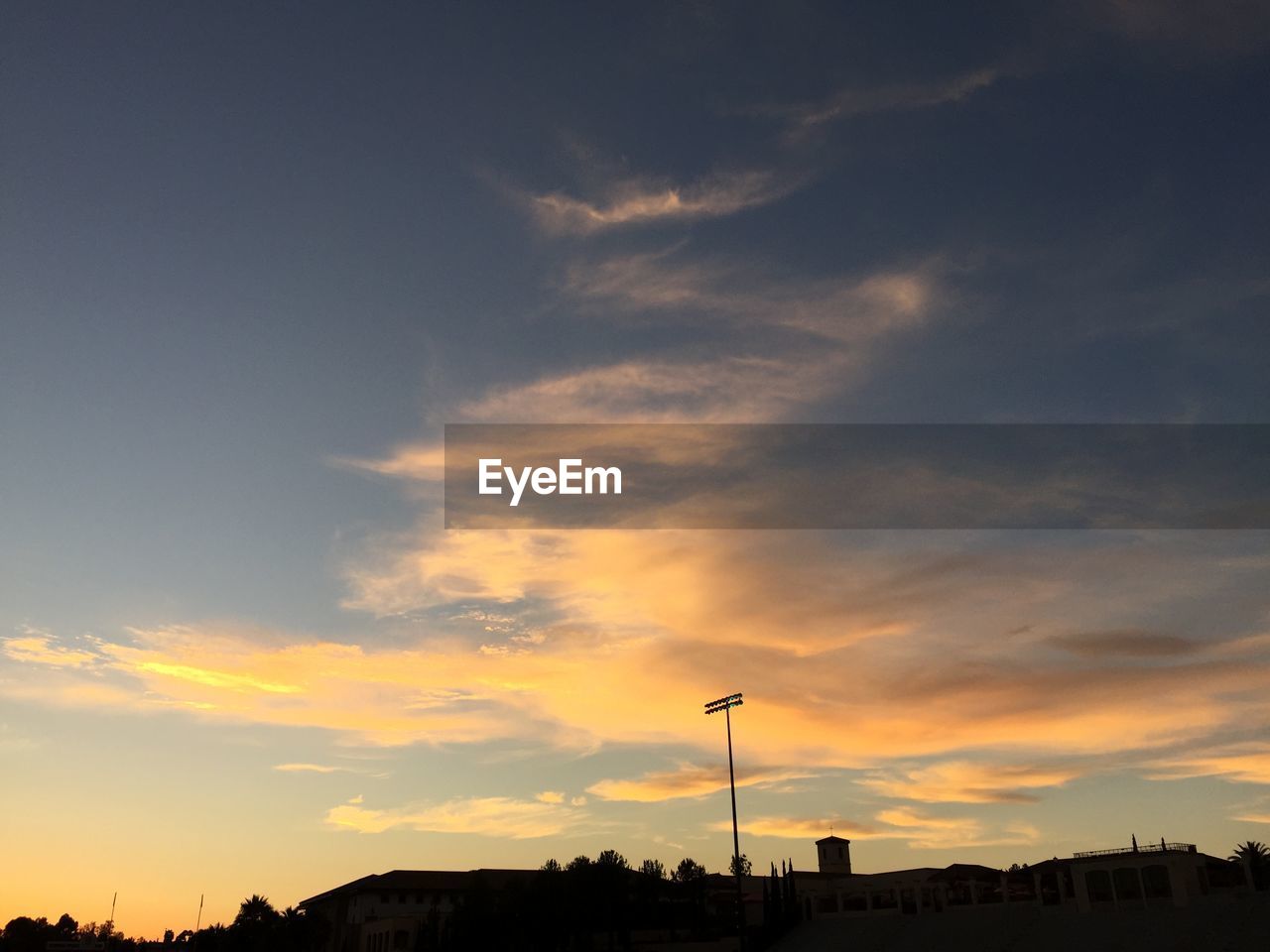 Low angle view of silhouette trees against sky at sunset