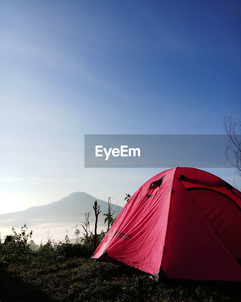 TENT ON FIELD AGAINST BLUE SKY