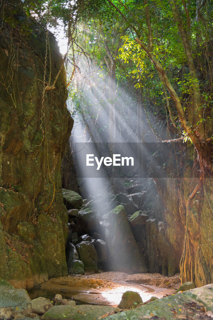 Sunbeams streaming from rocks in forest