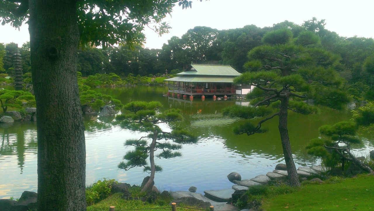 Scenic view of kiyosumi garden
