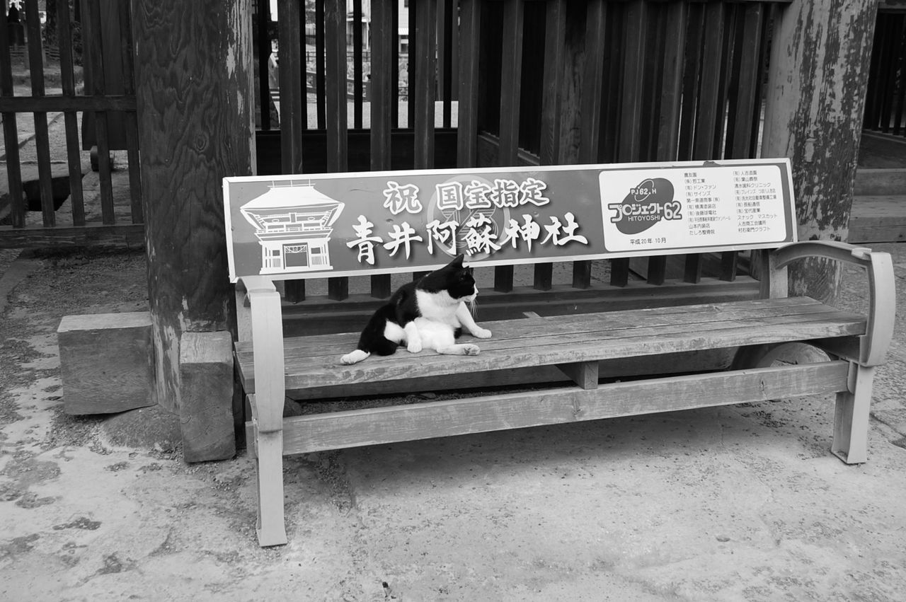 MEN SITTING ON BENCH