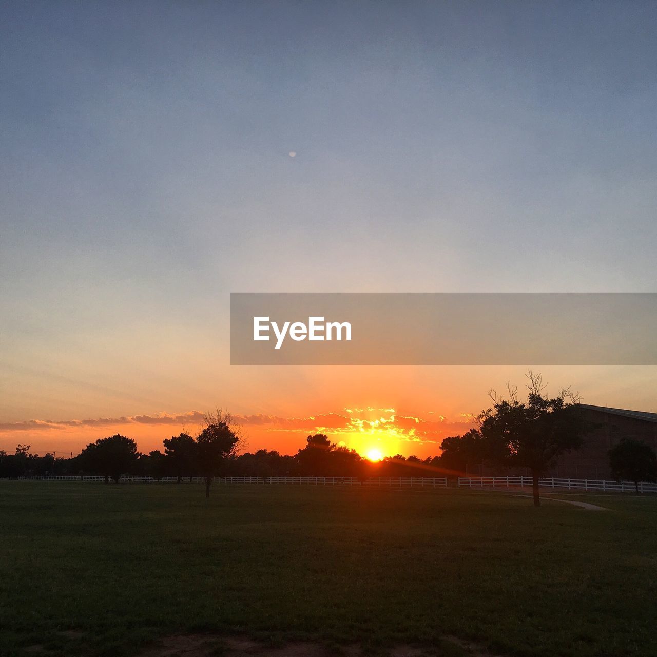 Silhouette trees on field against sky during sunset