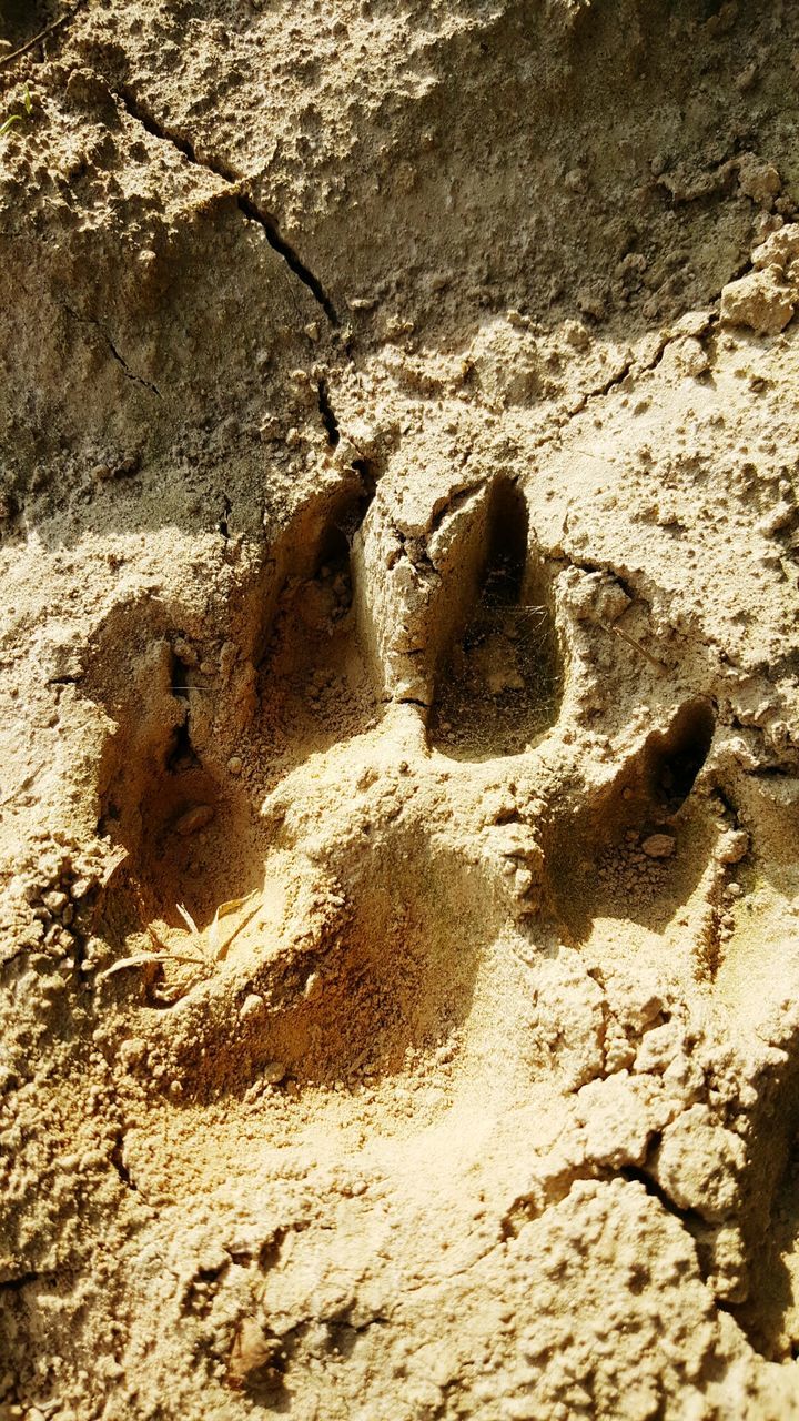 FULL FRAME SHOT OF SAND WITH ART