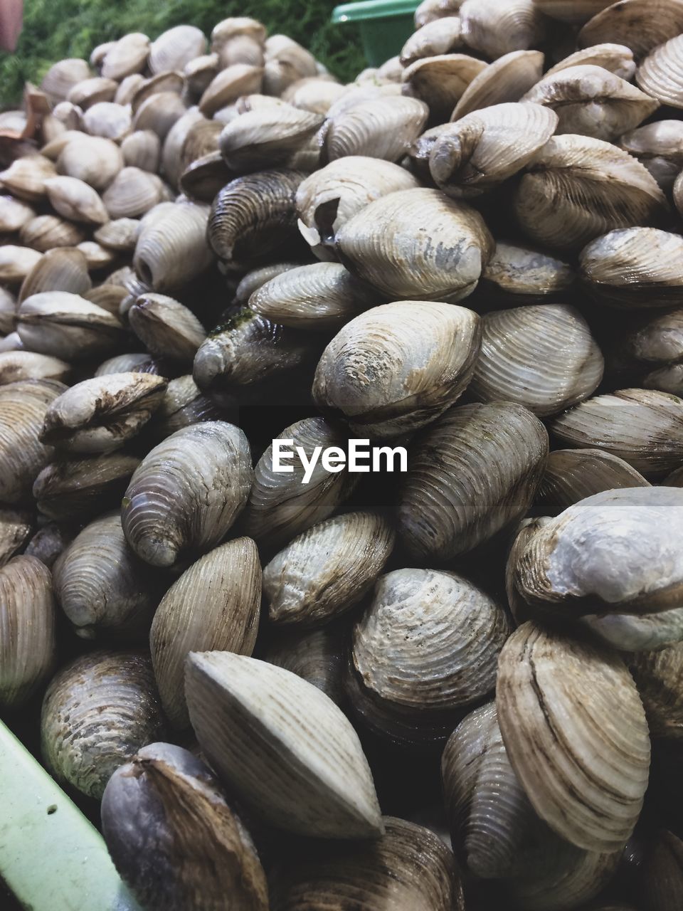 Close-up of mussels for sale