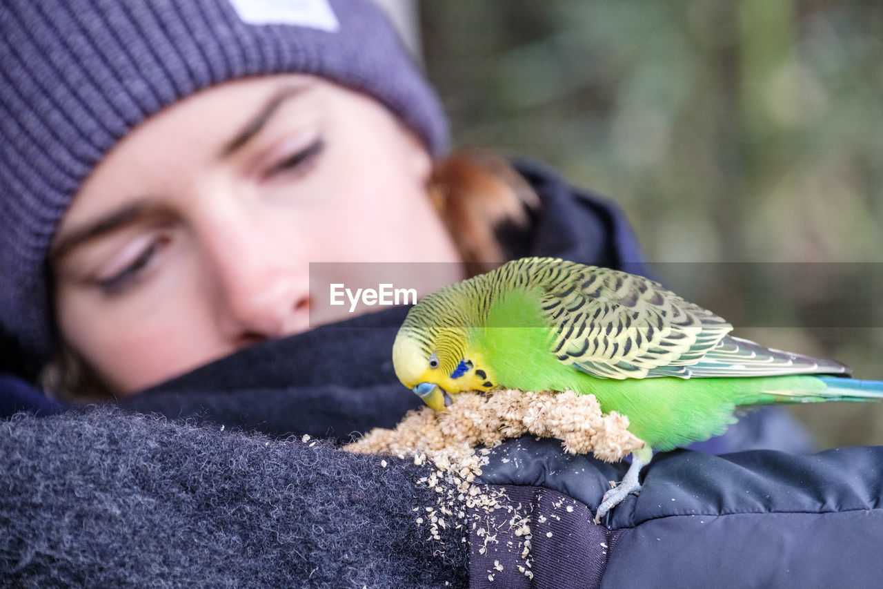 Close-up of woman feeding bird